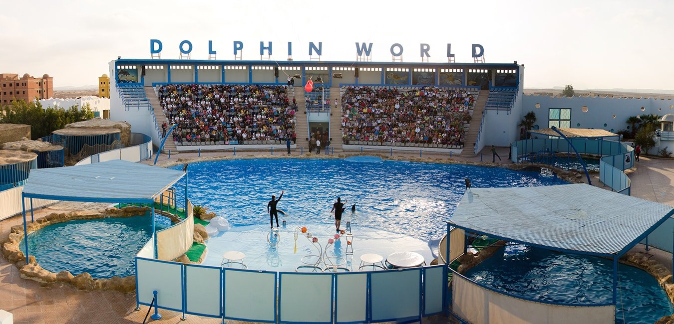 DOLPHIN SHOW IN HURGHADA